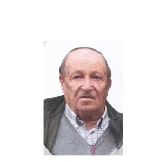António Luís Avelino Pereira